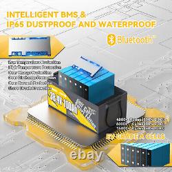 36V 100Ah LiFePO4 Battery Bluetooth for 36V/72V Outboard Motor Marine Golf Cart