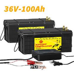 36V 100Ah LiFePO4 Lithium Battery 200A BMS for Golf cart EV RV 10 Year Life Span