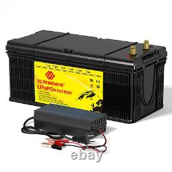 36V 100Ah LiFePO4 Lithium Battery 200A BMS for Golf cart EV RV 10 Year Life Span