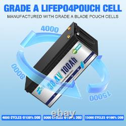 36V 100Ah LiFePO4 Lithium Battery Bluetooth APP 3840Wh for Outboard Motor Marine