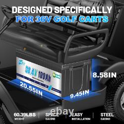 36V 100Ah LiFePO4 Lithium Battery Bluetooth APP 3840Wh for Outboard Motor Marine