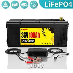 36V 100Ah Lithium Golf Cart Battery LiFePO4 200A BMS for EV RV 10 Year Life Span