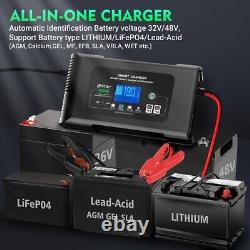 36V 18A 48V 13A Lead Lithium Lifepo4 Battery Charger for EZGO TXT RXV Golf Cart