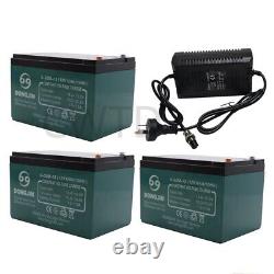36V Power Charger+3x 12V 12AH 6-DZM-12 SLA Battery For Golf Cart E-Bike Go Kart