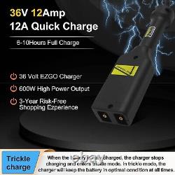 36 Volt 12Amp with Trickle Charge Golf Cart Battery Charger with D Plug for EZgo