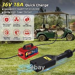 36 Volt Golf Cart Battery Charger Compatible with EZGOTXT Electric Models 18 Amp