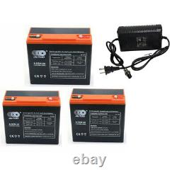 3X 24Ah 12V 6dzm20 Battery 36V Charger for Electric Mobility ATV Quad Golf Cart