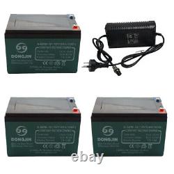 3x 6-DZM-12 12V 12Ah Motorcycle Battery 36V Charger ATV Scooter GoKart Golf Cart