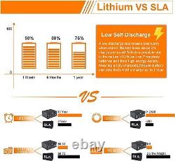 48V 100Ah LiFePO4 Battery Lithium Li-ion Battery 100A BMS For RV Golf Cart 5kWh