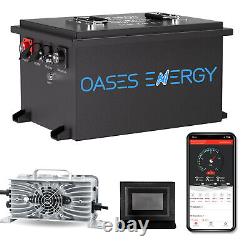 48V 100Ah LiFePO4 Golf Cart Battery 20A Charger Bluetooth Monitor Metal Case