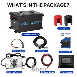 48V 100Ah LiFePO4 Golf Cart Battery 20A Charger Bluetooth Monitor Metal Case