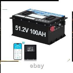 48V 100Ah LiFePO4 Golf Cart Battery Metal Case Bluetooth Monitor Club Car RV