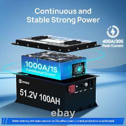 48V 100Ah LiFePO4 Golf Cart Battery Metal Case Bluetooth Monitor Club Car RV