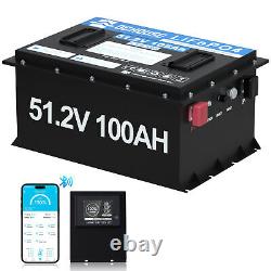 48V 100Ah LiFePO4 Golf Cart Battery Metal Case Bluetooth Monitor Club Car RV
