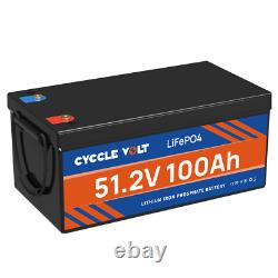 48V 100Ah LiFePO4 Lithium Battery 100A BMS for Golf cart EV RV 10 Year warranty
