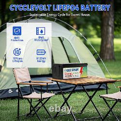 48V 100Ah LiFePO4 Lithium Battery 200A BMS 10000+Cycles Trolling Motor Golf Cart