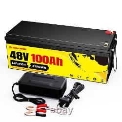 48V 100Ah LiFePO4 Lithium Battery 200A BMS for Golf cart RV EV 10 Year Life Span