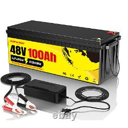 48V 100Ah LiFePO4 Lithium Battery 200A BMS for Golf cart RV EV 10 Year Life Span