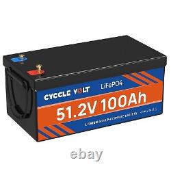 48V 100Ah LiFePO4 Lithium Battery Deep Cycle BMS for RV Golf Cart Solar System