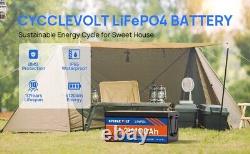48V 100Ah LiFePO4 Lithium Battery Deep Cycle BMS for RV Golf Cart Solar System