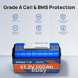 48V 100Ah LiFePO4 Lithium Battery Deep Cycle BMS for RV Golf Cart Solar System