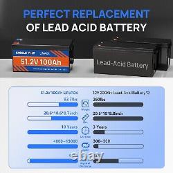 48V 100Ah LiFePO4 Lithium Battery Deep Cycle BMS for RV Golf Cart Solar System