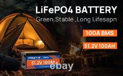 48V 100Ah LiFePO4 Lithium Battery Deep Cycle BMS for RV Golf Cart Solar System