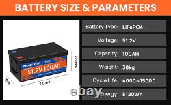 48V 100Ah LiFePO4 Lithium Battery Deep Cycle BMS for RV Golf Cart Solar System