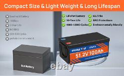 48V 100Ah LiFePO4 Lithium Battery Deep Cycle BMS for RV Golf Cart Solar System
