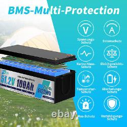 48V 100Ah Lifepo4 Lithium Battery Solar 200A BMS Boat Golf Cart VAN RV Camper