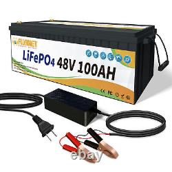48V 100Ah Lithium Battery Golf cart LiFePO4 100A BMS 15000+ Deep Cycle Solar