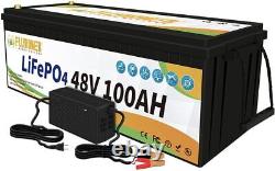 48V 100Ah Lithium Battery Golf cart LiFePO4 100A BMS 15000+ Deep Cycle Solar