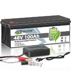 48V 100Ah Lithium LiFePO4 Battery 200A BMS 10 Year warranty for Golf cart VAN RV