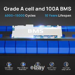 48V 100Ah Lithium LiFePO4 Battery Deep Cycle LiFePO4 Battery 200A for Golf Cart