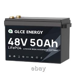 48V 50Ah LiFePO4 Lithium Battery Metal Case for Golf cart Home RV