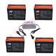4 X 12v 24ah Battery 6-dzm-20 + 48v Charger For Electric Scooter Golf Cart Buggy
