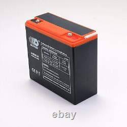 4 x 12V 24Ah Battery 6-DZM-20 + 48V Charger For Electric Scooter Golf Cart Buggy