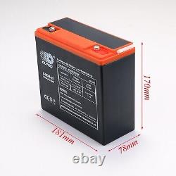4 x 12V 24Ah Battery 6-DZM-20 + 48V Charger For Electric Scooter Golf Cart Buggy