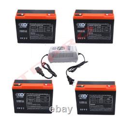 4 x 12V 24Ah Battery 6-DZM-20 + Charger Electric Mobility Scooter Golf Cart