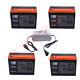 4 X 6-dzm-20 12v 24ah Battery + 48v Charger For Go Kart Golf Cart Scooter E Bike