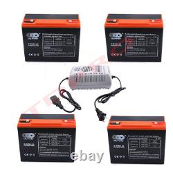 4 x 6-DZM-20 12V 24Ah Battery + 48V Charger For Go Kart Golf Cart Scooter E Bike