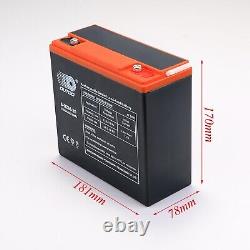4 x 6-DZM-20 12V 24Ah Battery + 48V Charger For Go Kart Golf Cart Scooter E Bike