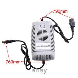 4x 12V 24Ah 6-DZM-20 Battery +48V Charger For Electric Scooter Golf Cart Go Kart