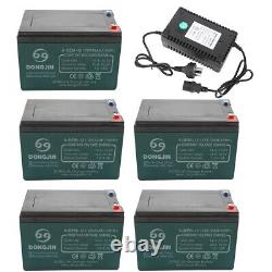 5x 6-DZM-12 12V 12AH Acid Battery+60V Charger For Go kart Golf Cart Drift Trike