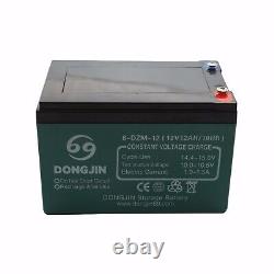 6x 6-DZM-12 12V 12AH Battery + 72V Charger Electric Golf Cart Buggy ATV E Bike