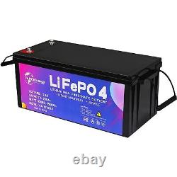 Btr 12V LiFePO4 Battery Pack 200Ah 100A BMS for Golf Cart Marine RV Solar System