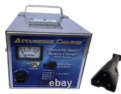 DPI 48 volt 17 amp golf cart battery charger EZ Go RXV connector USA Made