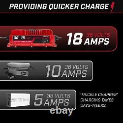 FORM 36 Volt, 18 Amp EZGO Golf Cart Battery Charger, Powerwise D Style TXT Plug
