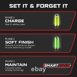 FORM 36 Volt Golf Cart Battery Charger for EZGO TXT Golf Carts with D-Style Plug
