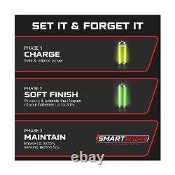 FORM 48 Volt Golf Cart Battery Charger for Yamaha G19 G22 Golf Carts 48V